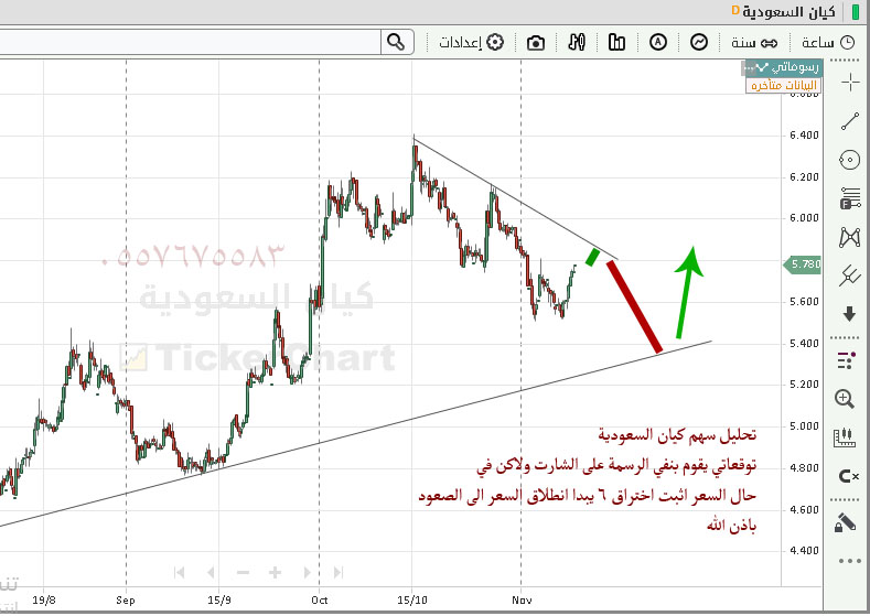 كيان السعودية